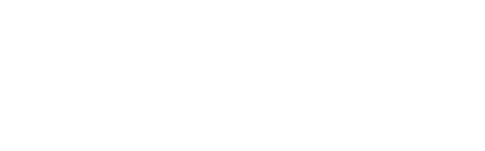 6 Day Doors Logo white
